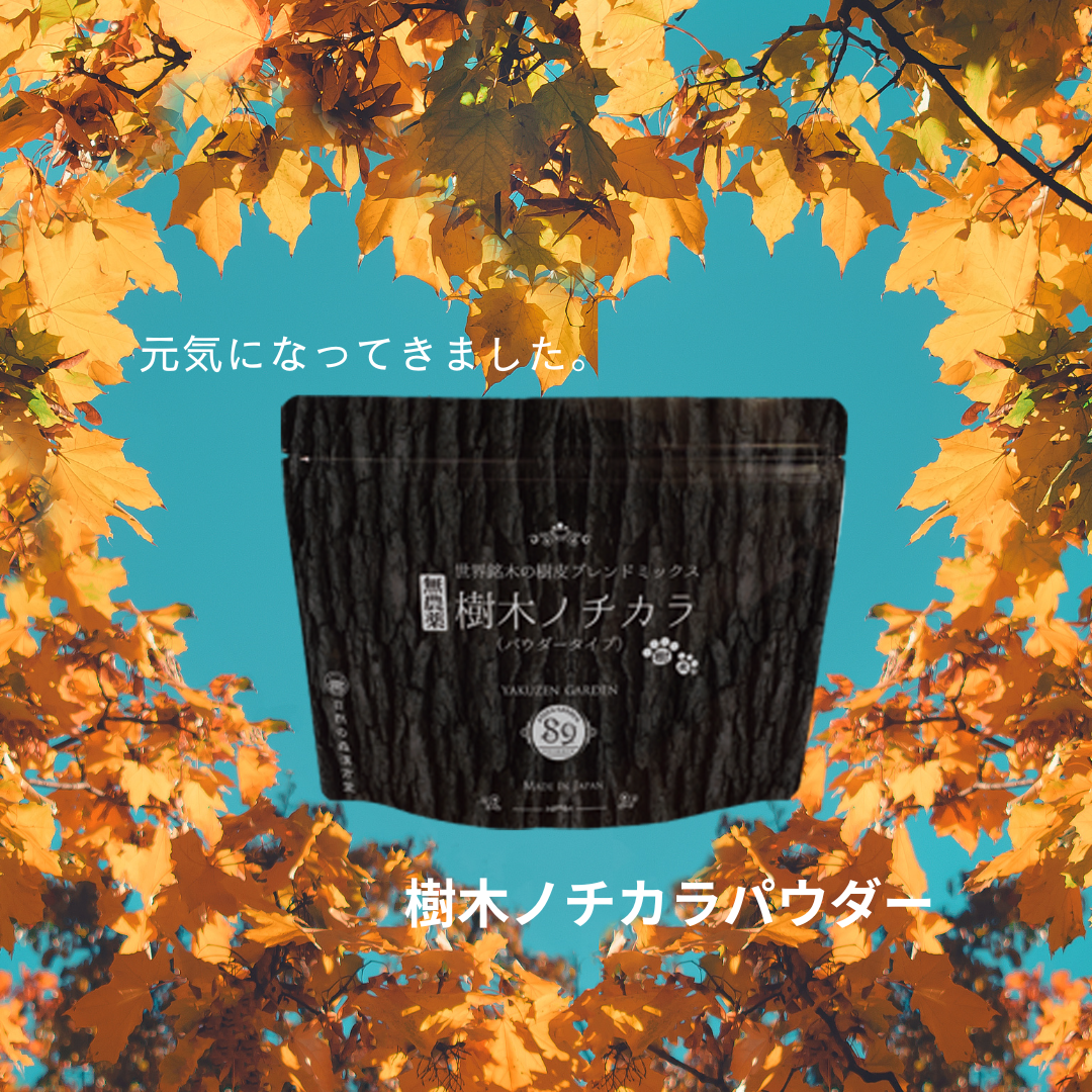 お電話：元気になってきました。